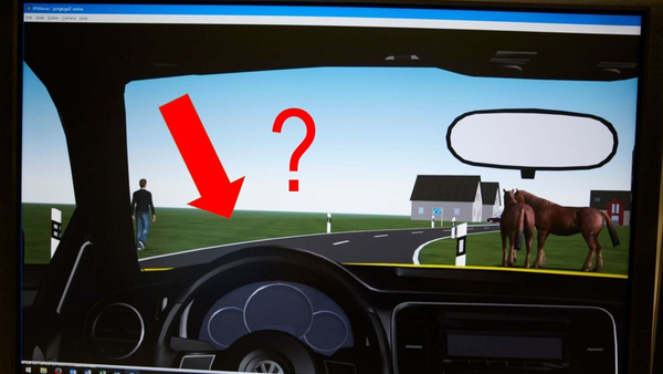 Figure: View of the steering wheel of a vehicle and view from the windscreen