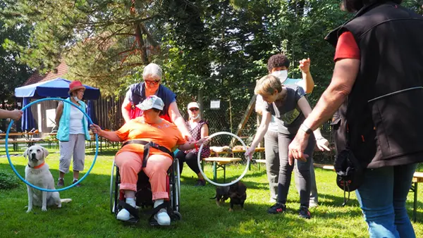 A disabled woman holds a hoop while a dog is jumping through